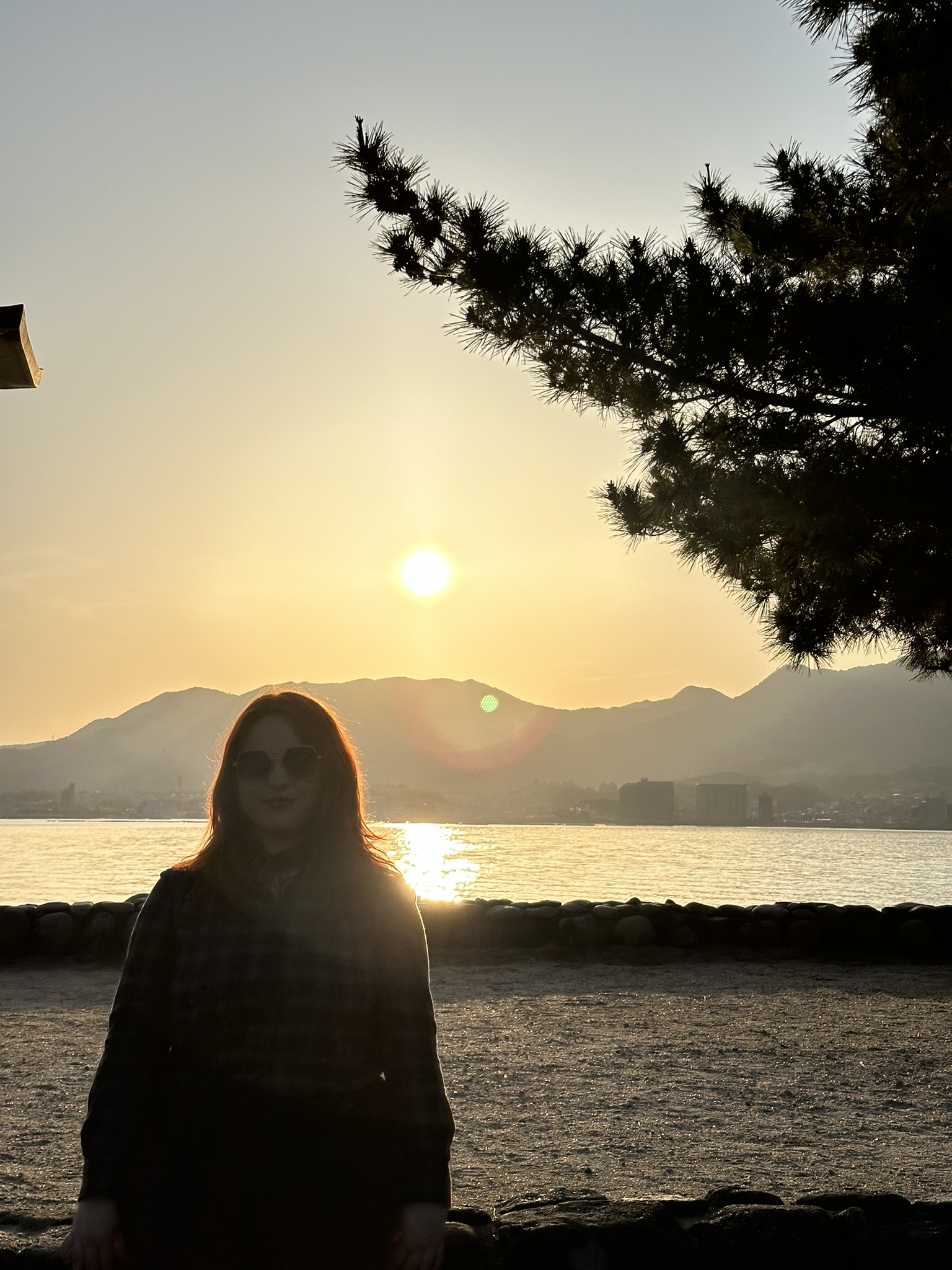 Miyajima Island & A Taste of Kobe photo 9