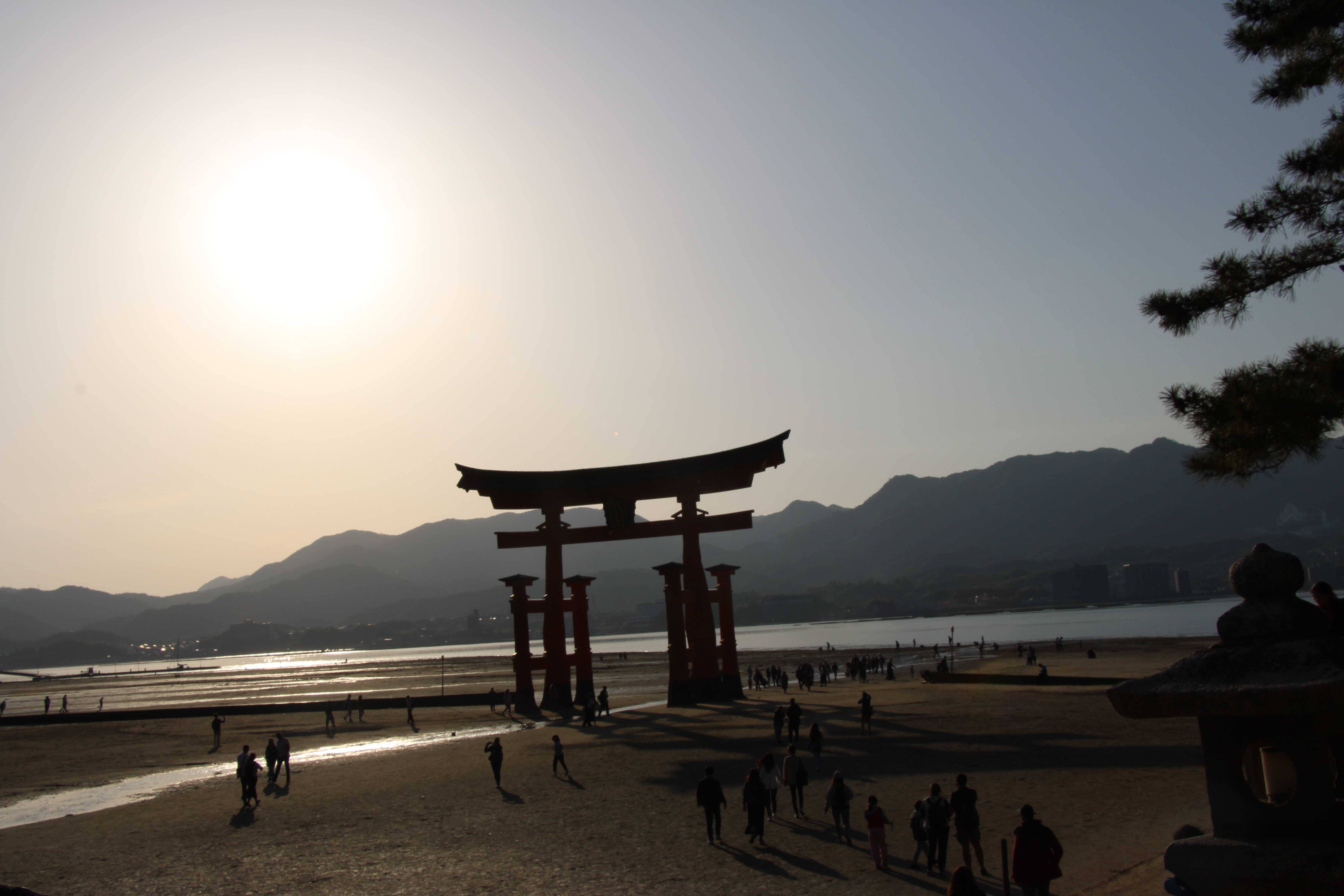 Miyajima Island & A Taste of Kobe photo 14