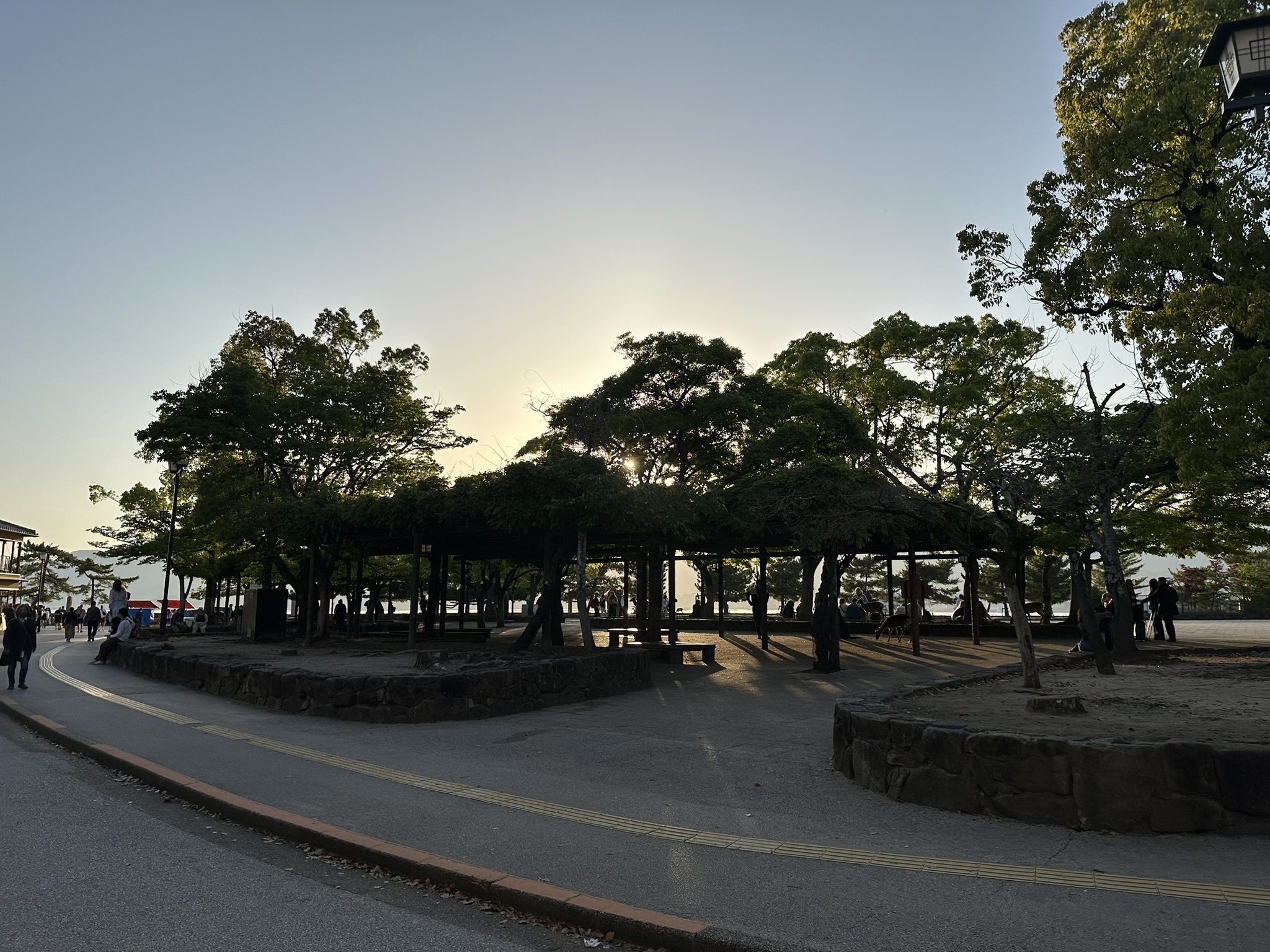 Miyajima Island & A Taste of Kobe photo 8