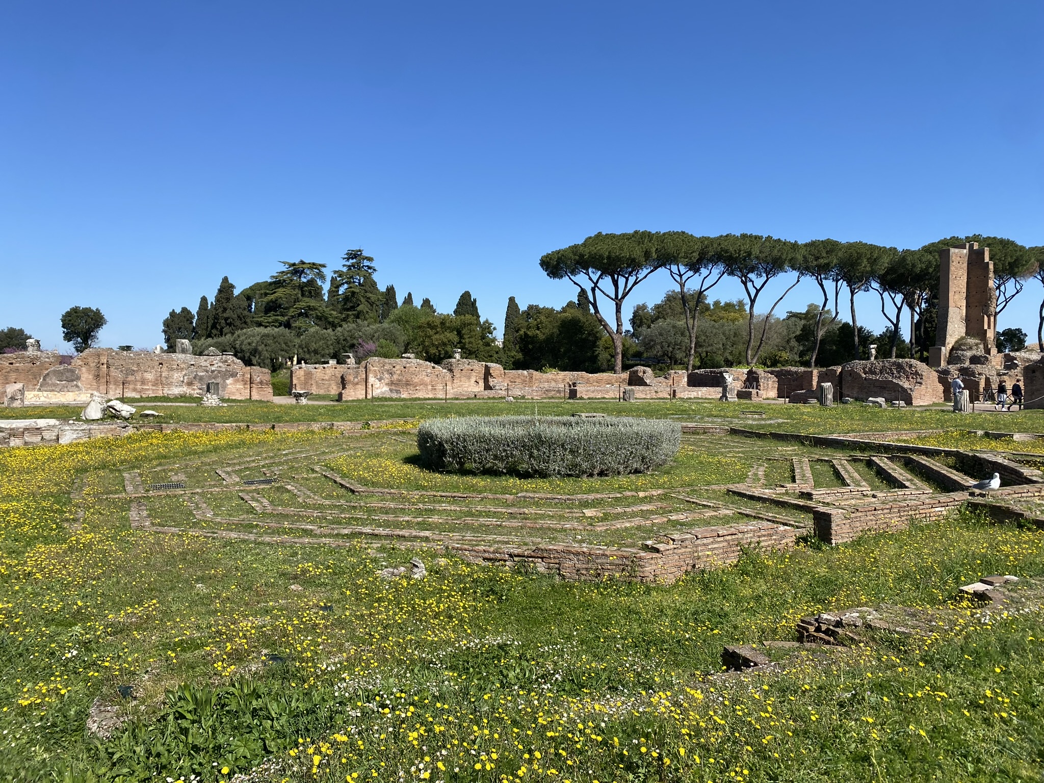 Rome photo 9