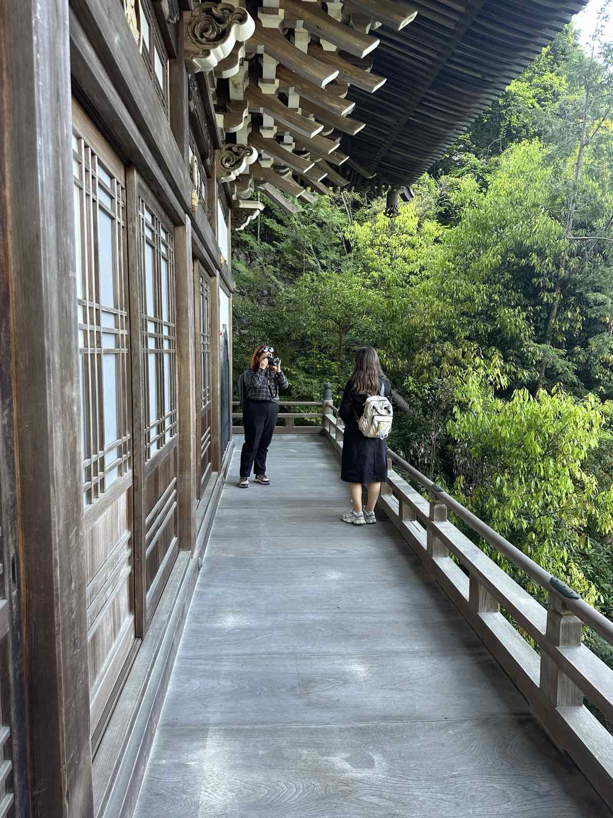 Miyajima Island & A Taste of Kobe photo 11