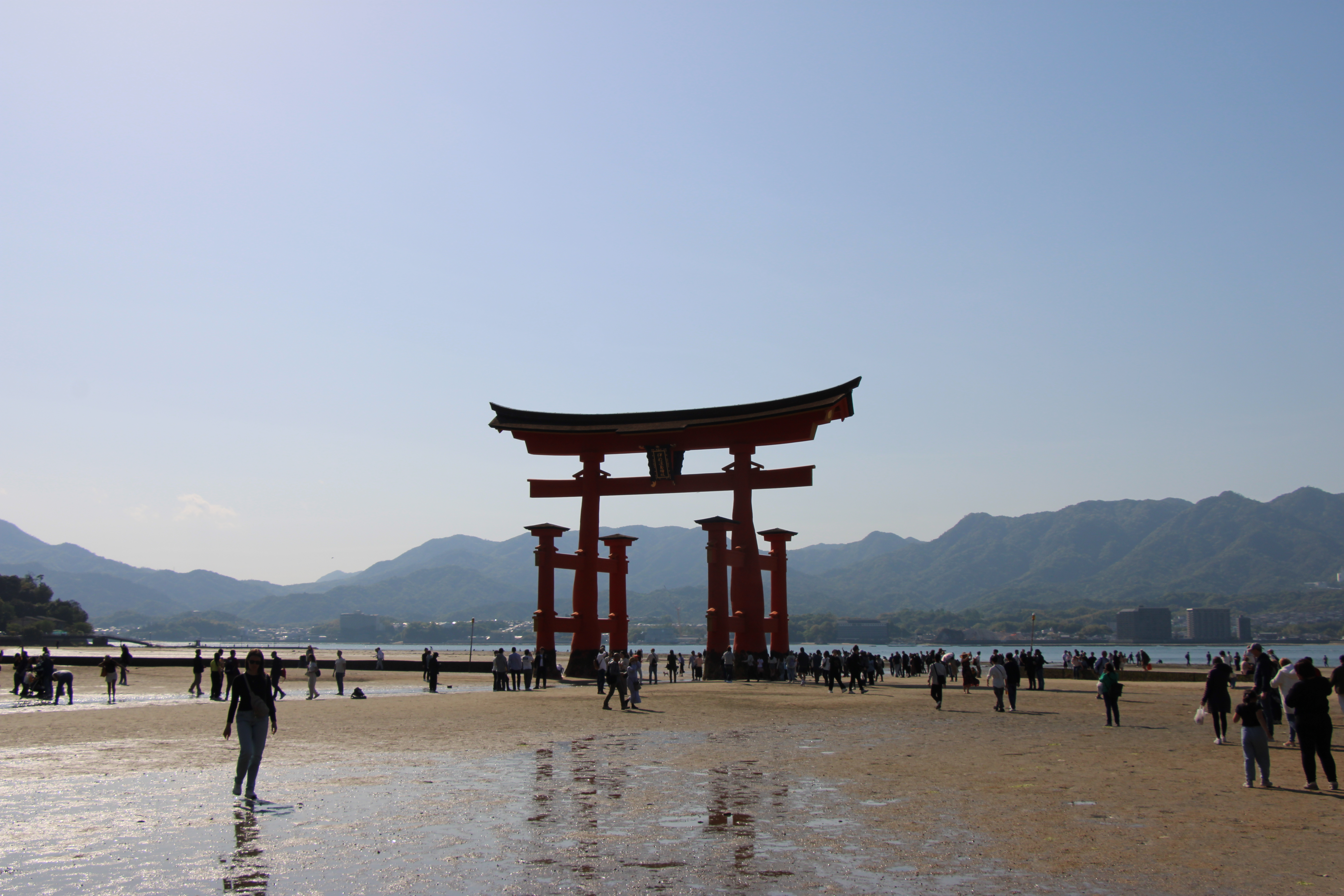Miyajima Island & A Taste of Kobe photo 16