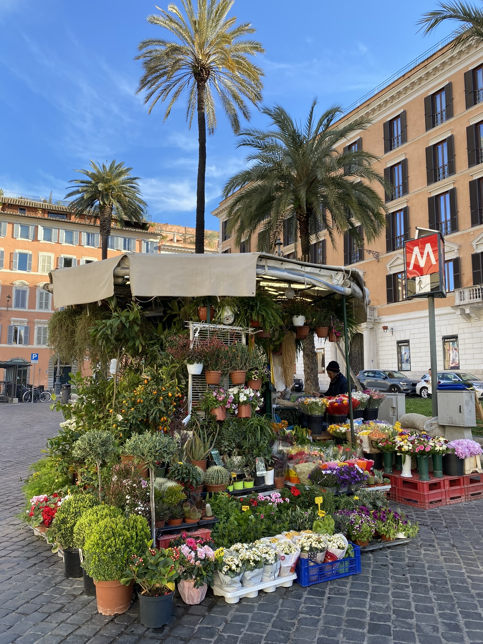 Rome photo 8