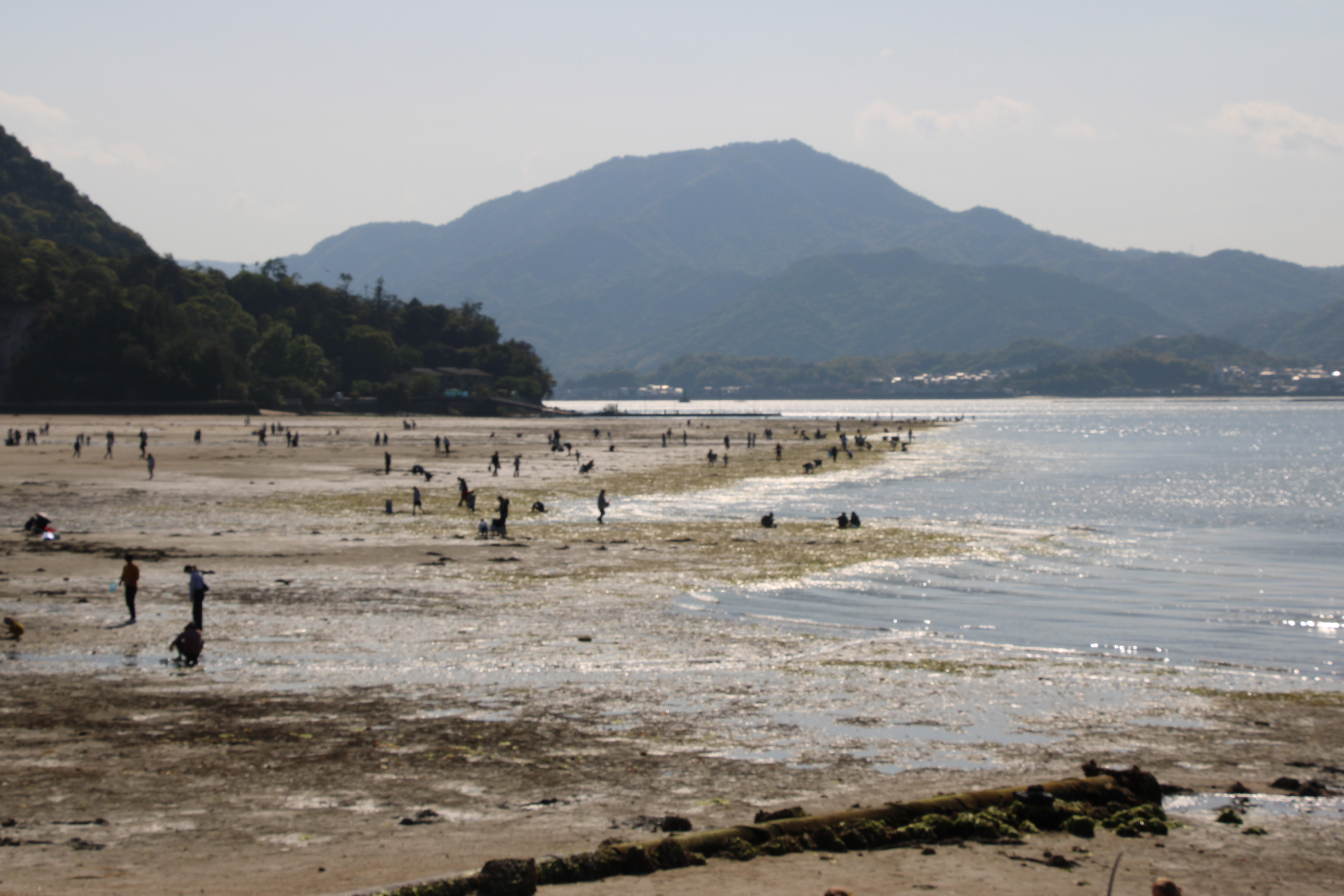 Miyajima Island & A Taste of Kobe photo 17