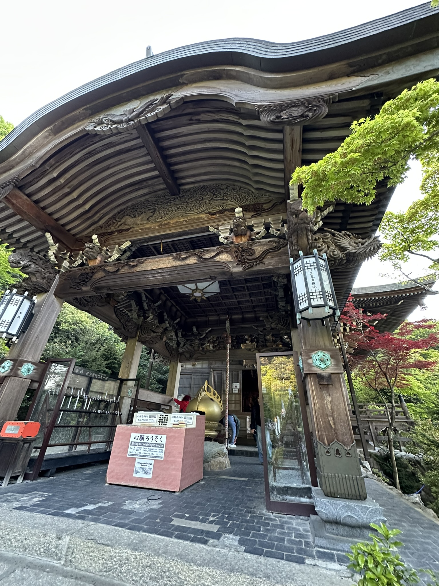 Miyajima Island & A Taste of Kobe photo 7