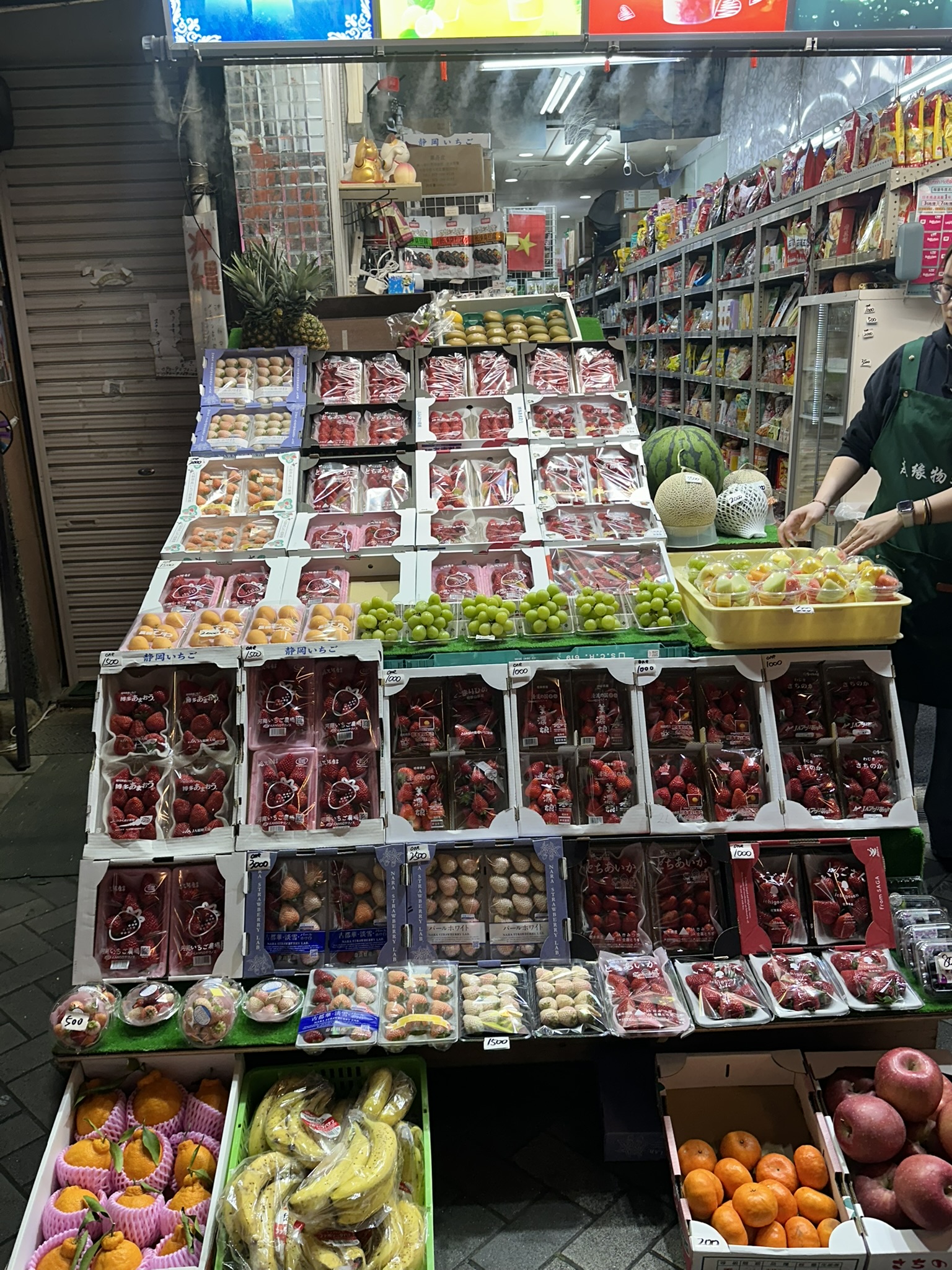Osaka photo 14