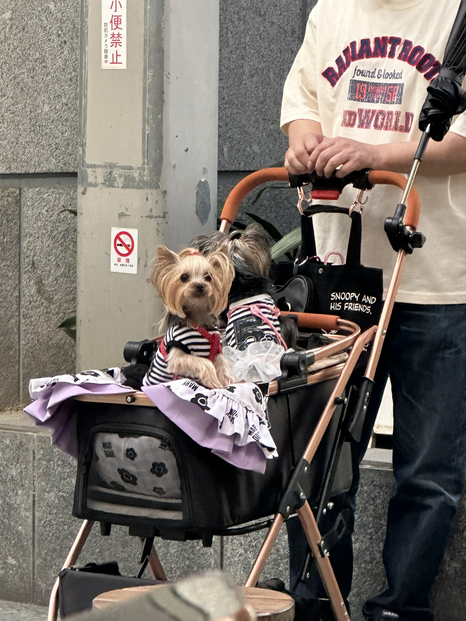 Osaka photo 7