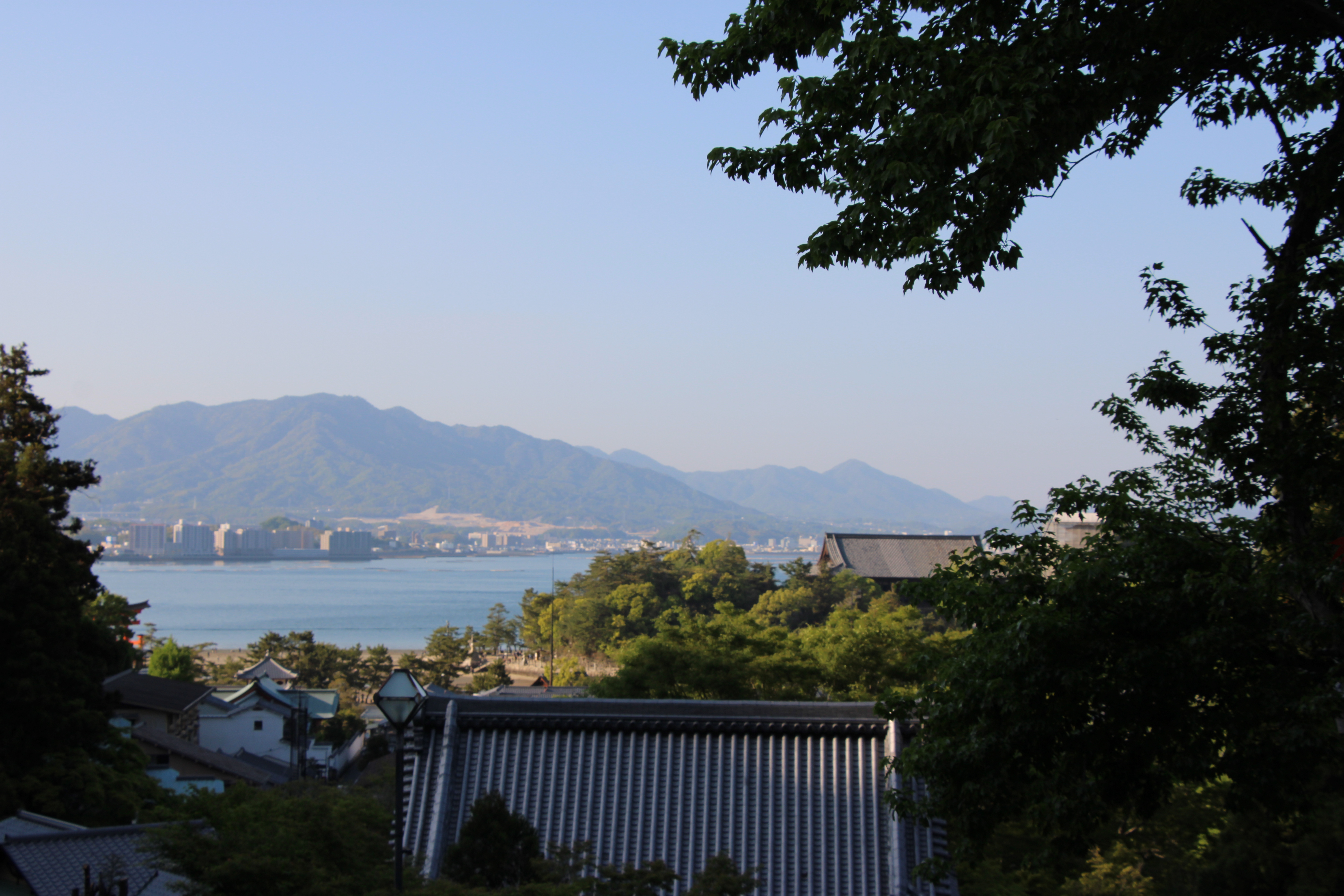 Miyajima Island & A Taste of Kobe photo 12