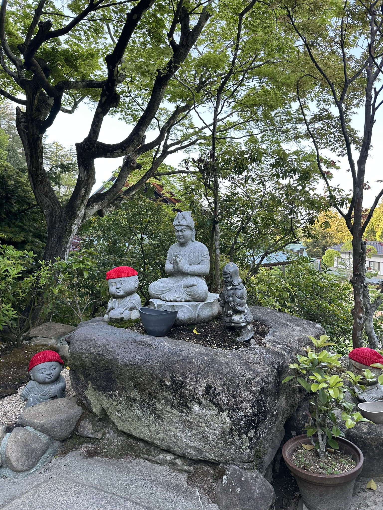 Miyajima Island & A Taste of Kobe photo 6