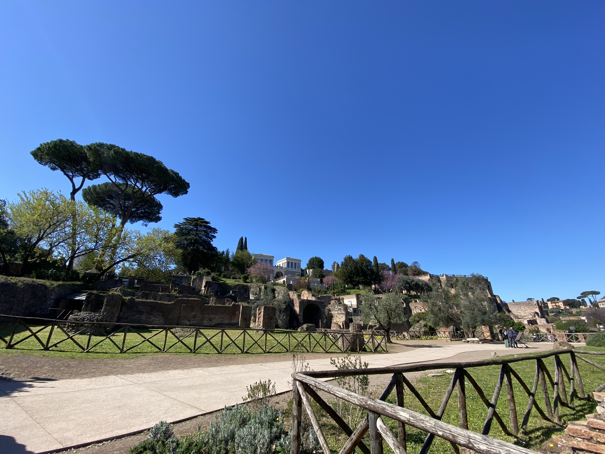 Rome photo 10